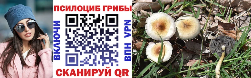 Купить  Краснокаменск  Псилоцибиновые грибы мухоморы 
